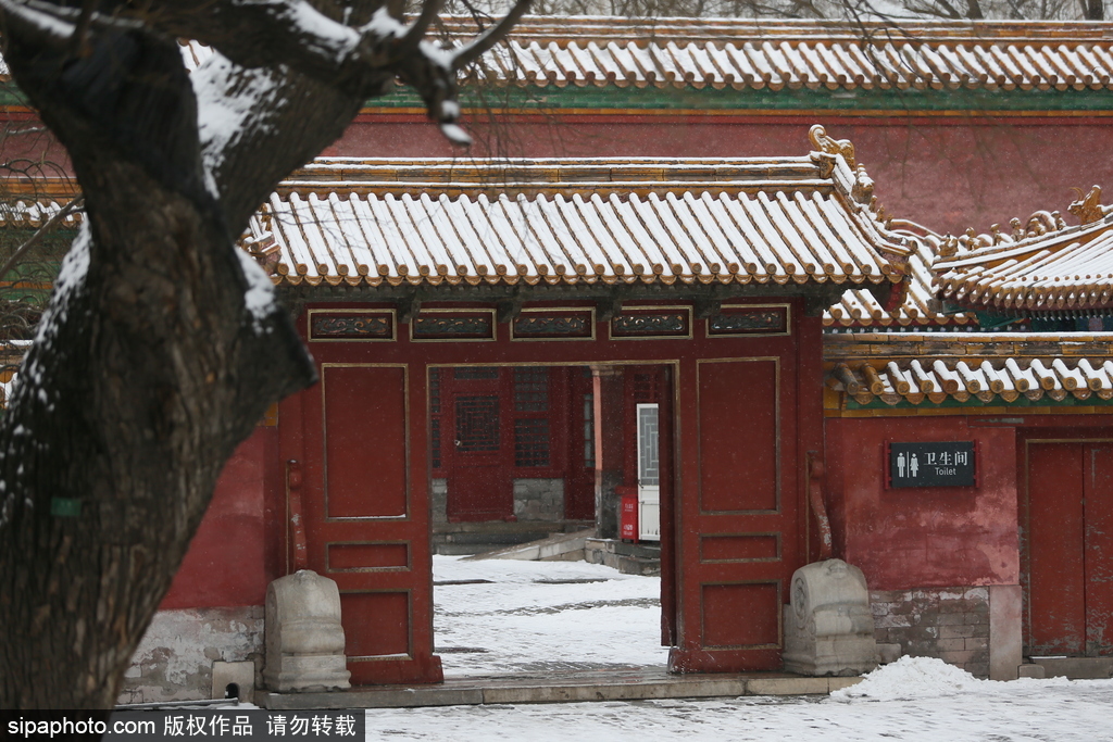 北京“鵝毛大雪”如約而至 故宮雪景美如畫