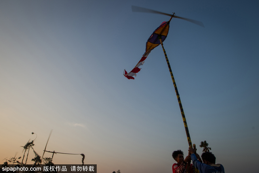 印尼迎來傳統(tǒng)風車節(jié) 風帆舞動夕陽剪影下美如畫